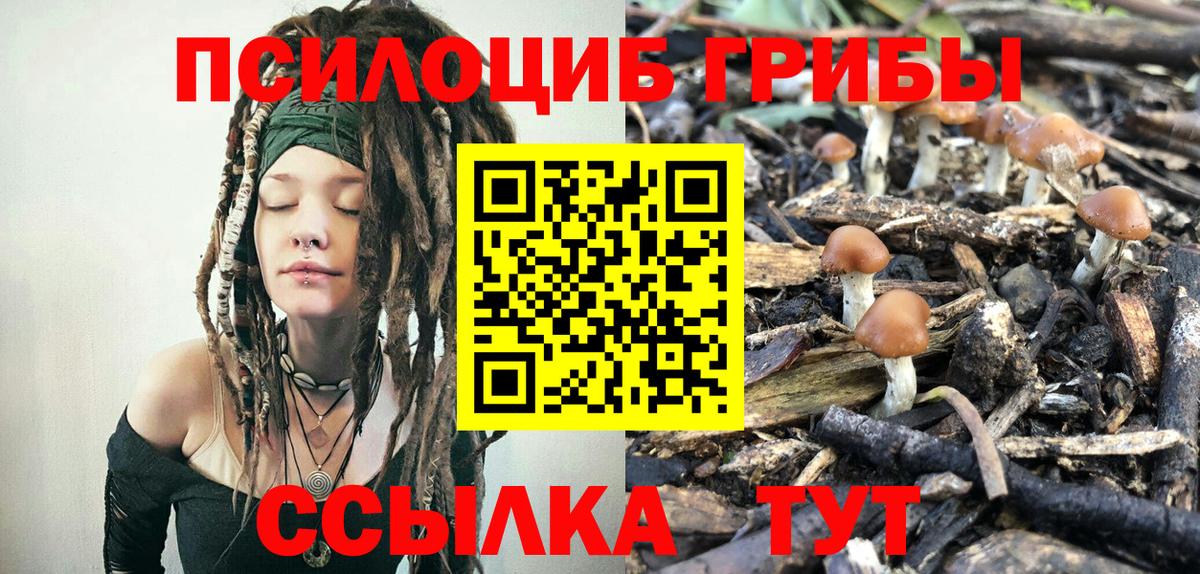 Галлюциногенные грибы мухоморы Нижний Тагил